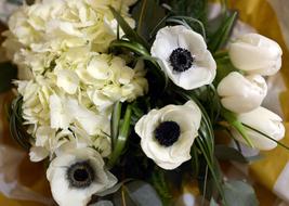 Flowers Bouquet Of Anemone