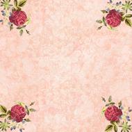 background scrapbooking paper flowers red drawing