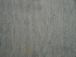 Moldy grey Wood