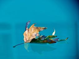 Water Pool Blue