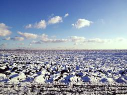 field covered with snow