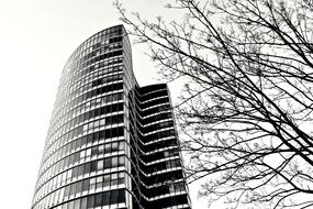 monochrome photo of Glass Architecture Skyscraper in city