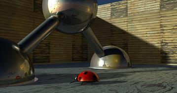 balls beetle ladybug art