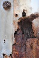 Texture Rust Brown close-up