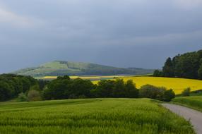 Veit Head The Conservation Area Of
