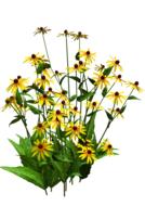 flora flower bush yellow flower