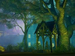 background forest trees nature drawing