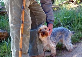 Man Elder with Dog