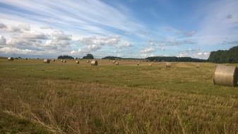 Usedom Benz Straw