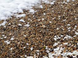 Petals Snow Gravel
