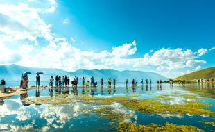 people walking near the lake in plants