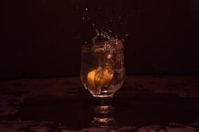 Splash Glass Lemon