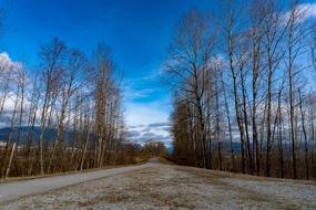 Autumn landscape on the road