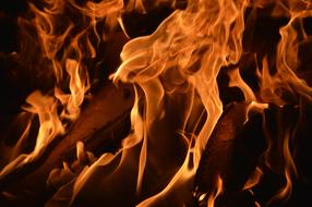 Fire Burn Campfire Wood