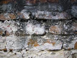 Old Brick Wall white