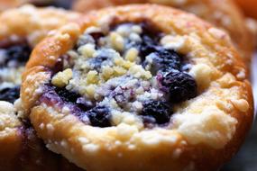 Cookie Blueberry Leavened The
