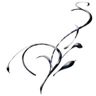 swirl abstract black satin