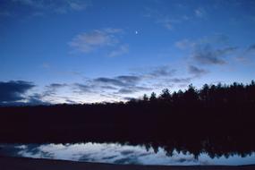Sunset Lake Trees