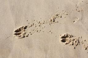 footprints on the warm sand