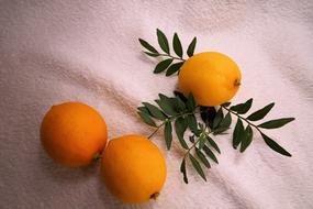 Three sour lemons