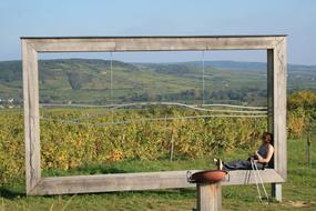 Wine Vineyard Rest
