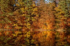 Fall Foliage Lake Mirroring