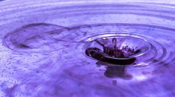 Drop Of Water violet