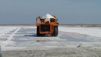 Salt Baja California Sur Black
