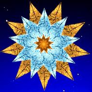 star christmas advent poinsettia