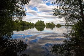 Lake Trees Water