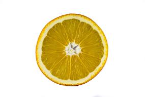 Fruit White Background Macro