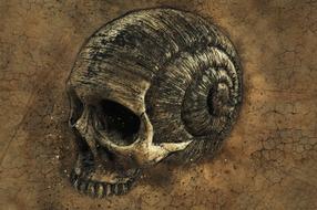 background texture death