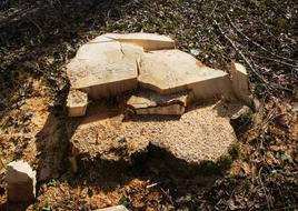 Sawed Off Tree Stump Like