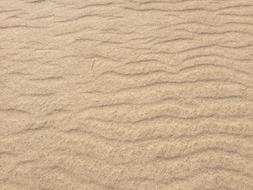 sandy beach by the sea
