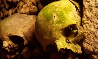 Catacombs Paris Skulls