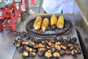 Corn Chestnuts