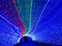 Festival of Lights view