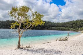 Beach Dock Fraser Island