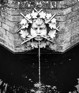 stone face on a waterfall