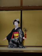 Geisha Kyoto Culture