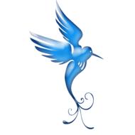 bird blue satin drawing
