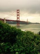 Bay San Francisco United