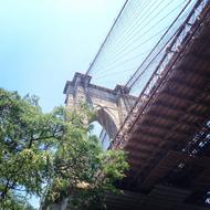 city bridge with trees