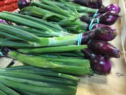 Onion Vernal