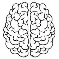Brain pattern image