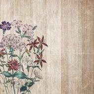 bunch of flowers on grunge background, drawing