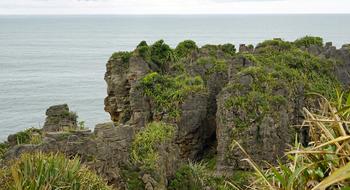 cliffs with trees by the sea