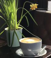 espresso mug
