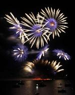 bright lights of fireworks over the sea