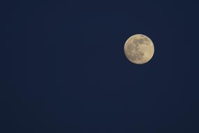 Moon Full Super Professional